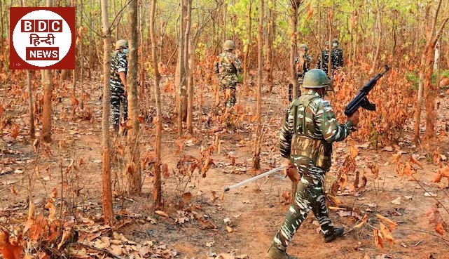saranda jungle news